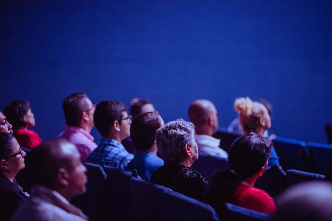 people sitting in theater chairs. chargeback protection for mlm programs is a requirement to keep many of these programs afloat